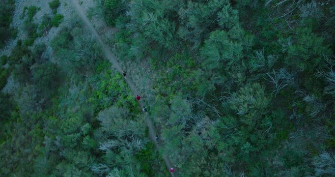 Cinematic, twisty drone shot over early morning joggers on narrow canyon path