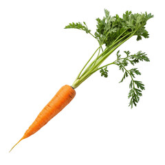 carrot isolated PNG or Transparency Background