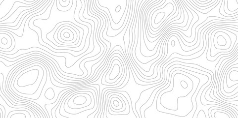 white background with abstract topographic grey contour lines creating a seamless pattern design A Perfect Fusion of Geometric Grid Lines, and Minimalist Design Elements