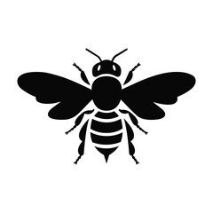 vector illustration of a bee