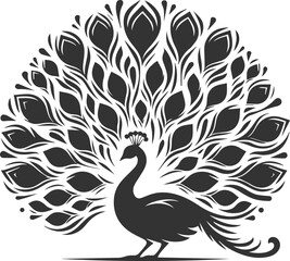 Vector element animal bird silhouette of a peacock