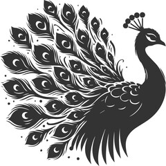 Vector element animal bird silhouette of a peacock