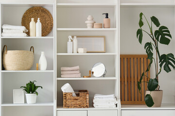 Closet with bath supplies and plants in room