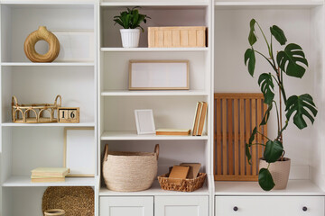 Closet with blank frames, plants and books in living room