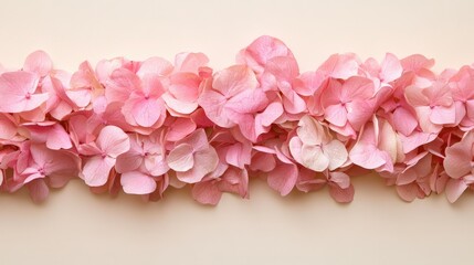 Obraz premium Delicate Arrangement of Soft Pink Hydrangea Petals on a Neutral Background for Elegant Floral Design and Aesthetic Decor Inspiration