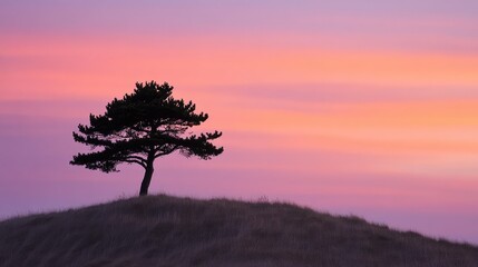 Obraz premium Serene Sunset Silhouette of Lone Tree on Rolling Hill Against Colorful Evening Sky, Nature Beauty and Tranquility in Landscape Scene
