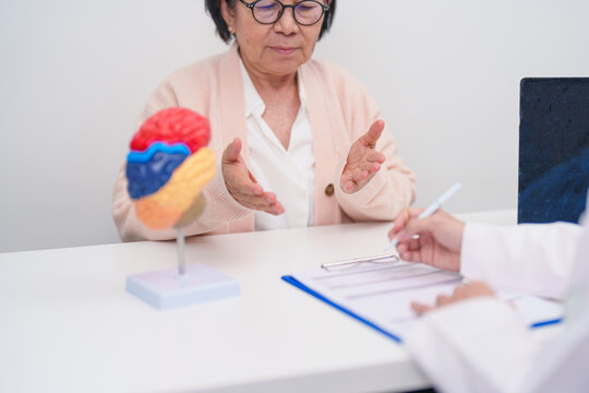 Elderly Patient consulting Doctor to Brain disease, Senior Health Medical Diagnosis. Anatomy Brain model for Explanation, Brain Tumor, neurological disorders, Dementia, alzheimer, parkinson and Mental