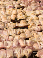 Grilled Pork Skewers Cooking on Hot Charcoal for Delicious Barbecue Feast
