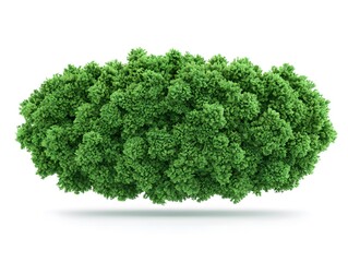 Fototapeta premium Dense lush green dense foliage bush shrub plant with vibrant leaves isolated on white background for natural decor health environmental conservation themes