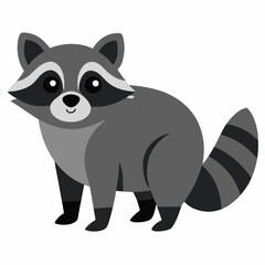  Raccoon vector illustration