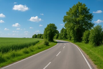 Fototapeta premium Serene Country Road Winding Through Lush Green Fields Under a Sunny Sky