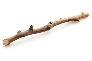 Fototapeta premium Single Brown Stick Curvy Branch Twig CloseUp on White Surface, Textured Wood