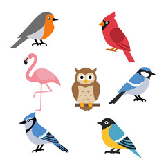 A set of flat design bird illustrations featuring a robin, cardinal, flamingo, owl, blue jay, and other colorful songbirds, perfect for nature or wildlife-themed content