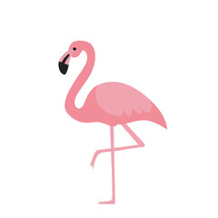A cute pink flamingo standing on one leg in a minimalist flat design. Perfect for educational, tropical, or summer-themed illustrations