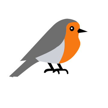A charming European robin with an orange chest and grey wings. Great for nature themes, educational content, or birdwatching illustrations