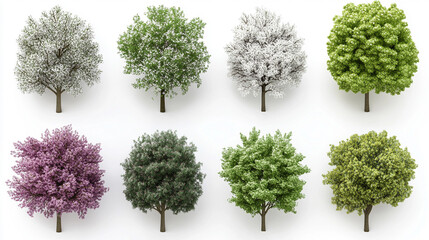Fototapeta premium Cutout top view set of 3D rendered trees for landscaping design, displayed on a clean white background, ideal for architectural visualization, planning, and outdoor project mockups.