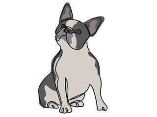 French bulldog in continuous line drawing style.