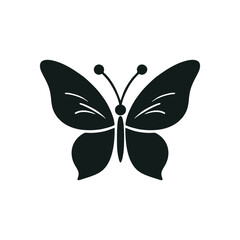 butterfly vector illustration