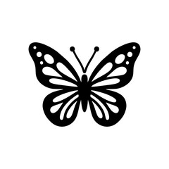 butterfly on white background
