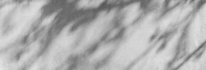 Shadow of tree leaves sway in the wind on grunge background