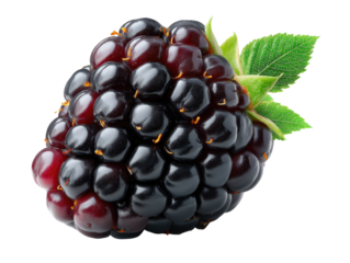 Blackberry with Leaf: A single, ripe blackberry, glistening with dark, juicy color, is showcased against a clean background with a vibrant green leaf.