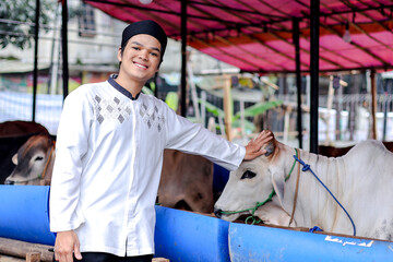Asian Male Touching Cow's Head in The Cattle Farm for Sacrifice During Eid Al Adha Moment