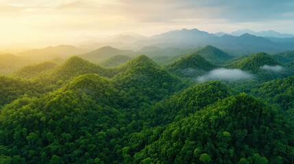 Fototapeta premium Lush green forested hills stretch to the horizon under a soft morning light, with mist drifting between the valleys.
