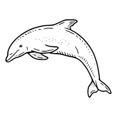 marine life animal sketch art