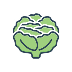Color illustration icon for cabbage