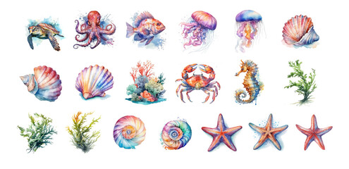 Watercolor Sea Creatures, Shells, and Coral Illustrations. Collection of vibrant watercolor illustrations of marine animals, shells, coral, and seaweed.