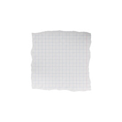 Obraz premium Square Torn Grid Paper Fragment