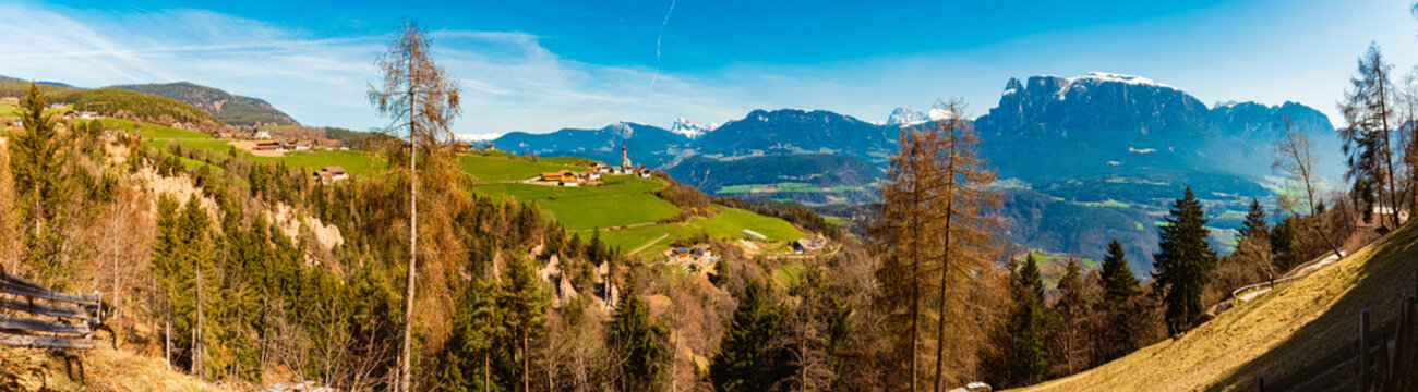 Fototapeta High resolution stitched alpine spring panorama with Mount Schlern, Mount Langkofel and Mount Plattkofel seen from Lengmoos, Ritten, South Tyrol, Italy