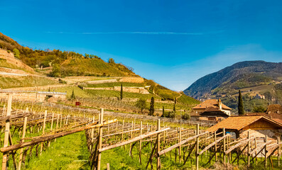Naklejka premium Alpine spring view at the famous Ritten mountains, South Tyrol, Italy