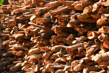 pile of wood log in the country home with sunlight, firewood for fuel