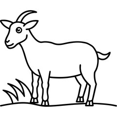 goat vector illustration
