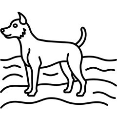 dog on a white background