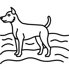 dog on a white background