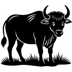 black and white cow