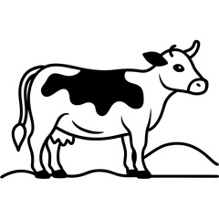 black and white cow