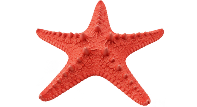 Realistic Illustration of Red Starfish Isolated On a Transparent Background - Powered by Adobe