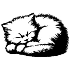 Sleeping kitten silhouette