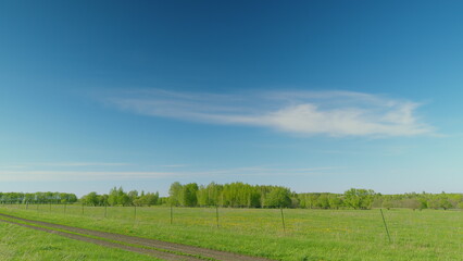A Beautiful, Lush Green Field Sprawled Perfectly Beneath a Clear and Endless Blue Sky