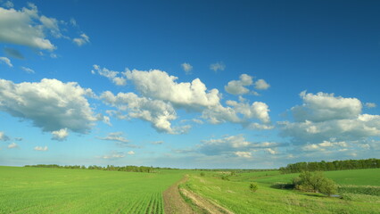 Stunningly Beautiful, Lush Green Fields Coexisting Under a Clear and Bright Blue Sky Time lapse.