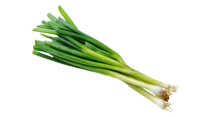 Fototapeta premium Fresh Spring Onions Bunch Isolated on Transparent Background