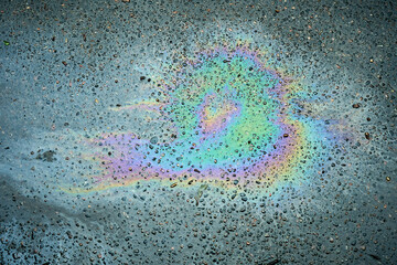 Gasoline or oil spill creating rainbow sheen on wet asphalt road.