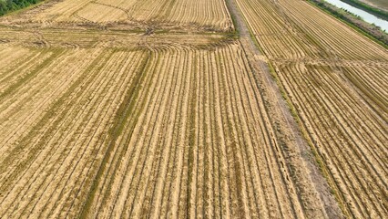 The drone perspective emphasizes the efficiency of row cropping, where crops are systematically...
