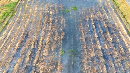 The varying textures and wet patches in the soil reveal the diverse conditions that the land...