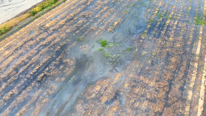 The patterns left by agricultural machinery and the water coverage across the field reflect the shift from crop harvesting to the land's recovery and preparation for future planting.