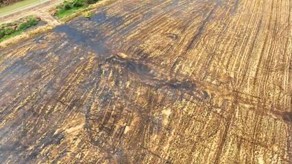 The visible tracks and varying soil textures suggest a dynamic agricultural workflow, where machinery plays a crucial role in preparing and nurturing the field for the next growing season.
