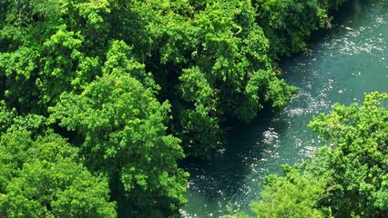 This aerial shot highlights the river flowing gently through the forest, with its reflective surface glistening under the sun, showcasing nature’s harmony and movement. Thailand.
